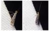 Parornix sp.
